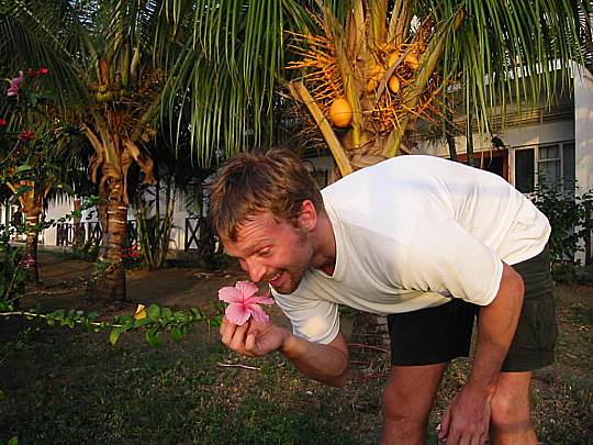 115-1555_IMG.JPG
