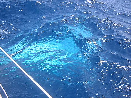 116-1627_IMG.JPG