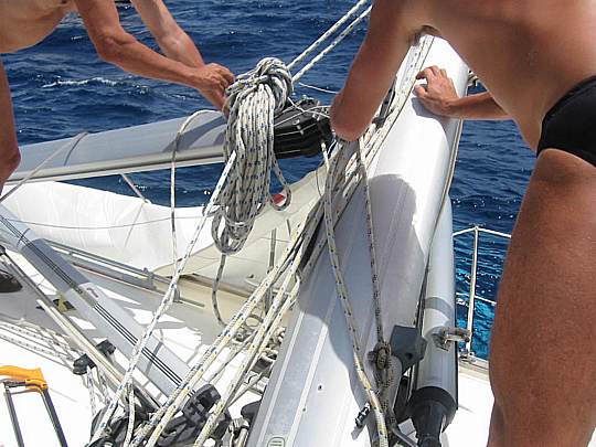 116-1629_IMG.JPG