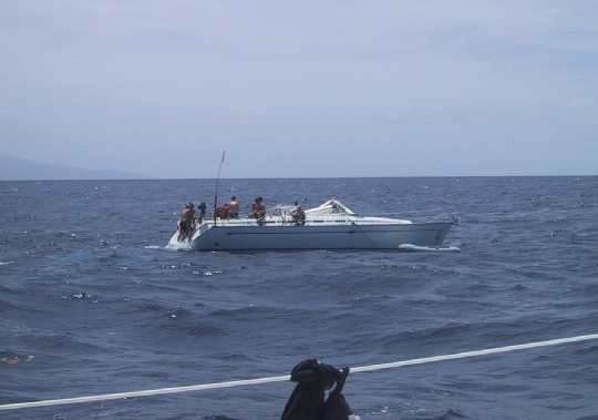 Img_1162.jpg