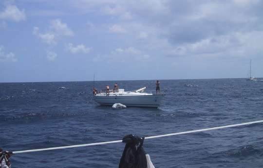 Img_1164.jpg