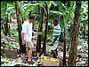 114-1436_IMG.JPG
