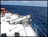 116-1624_IMG.JPG