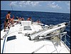 116-1625_IMG.JPG