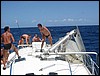 116-1628_IMG.JPG