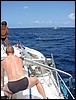 116-1636_IMG.JPG