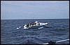 Img_1160.jpg