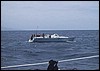Img_1162.jpg
