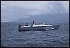 Img_1163.jpg